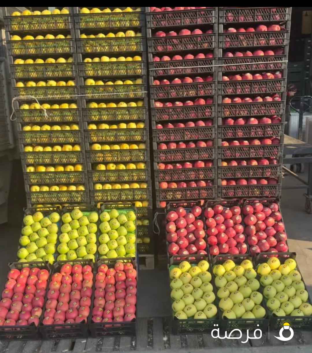 فواکه مجففه صحیه وممتازه جوده ونقاوه عالیه