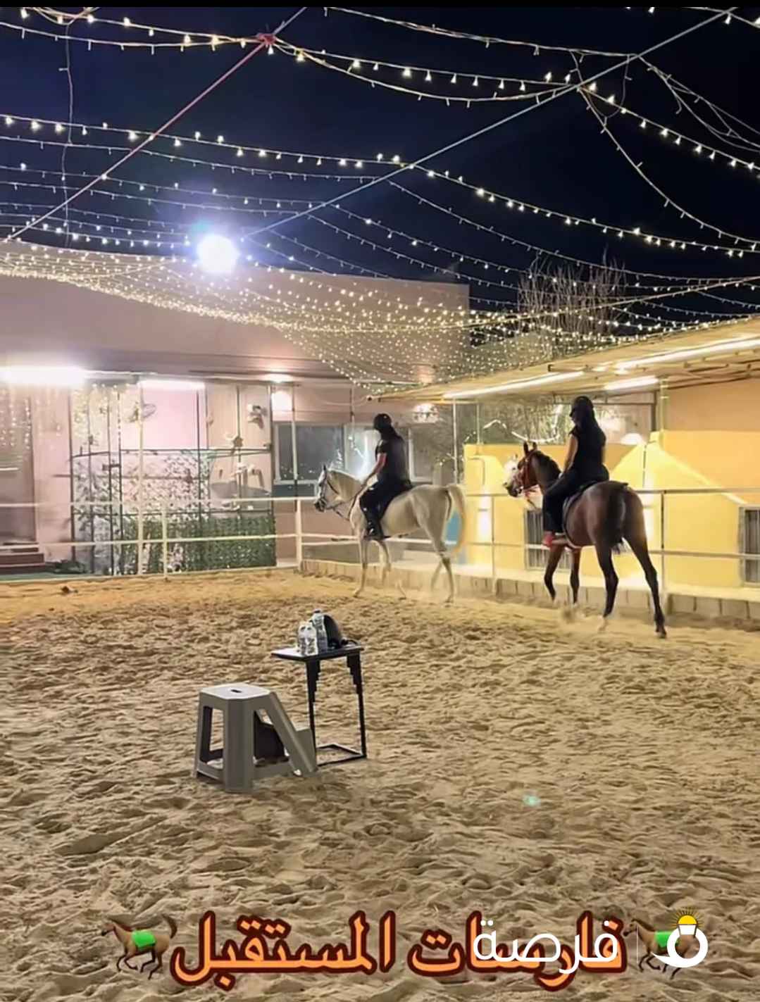 مدرسة لتدريب على الخيل + ربط ايواء