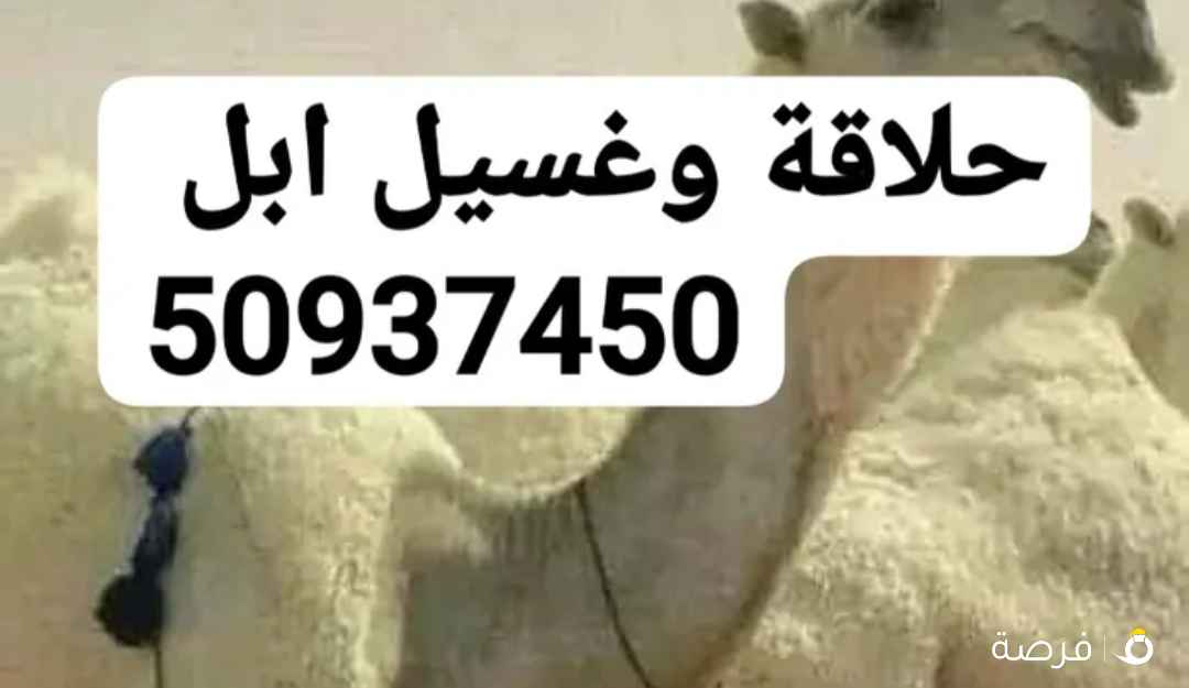 حلاقة وغسيل ابل كل مناطق الكويت