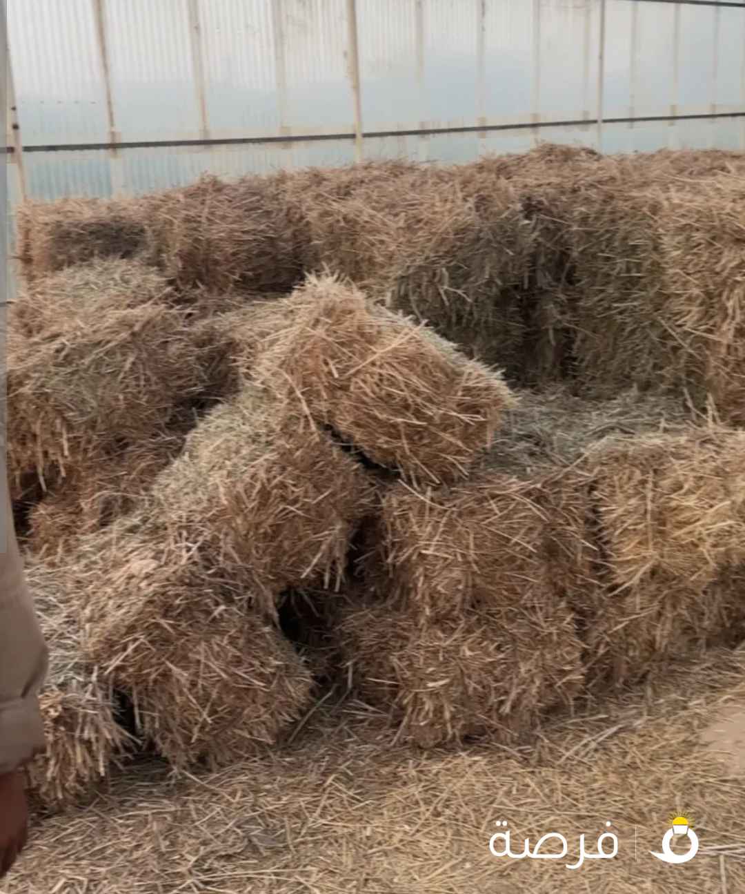 للبيع بلوبنك جديد