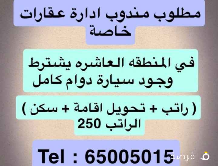 مطلوب مندوب