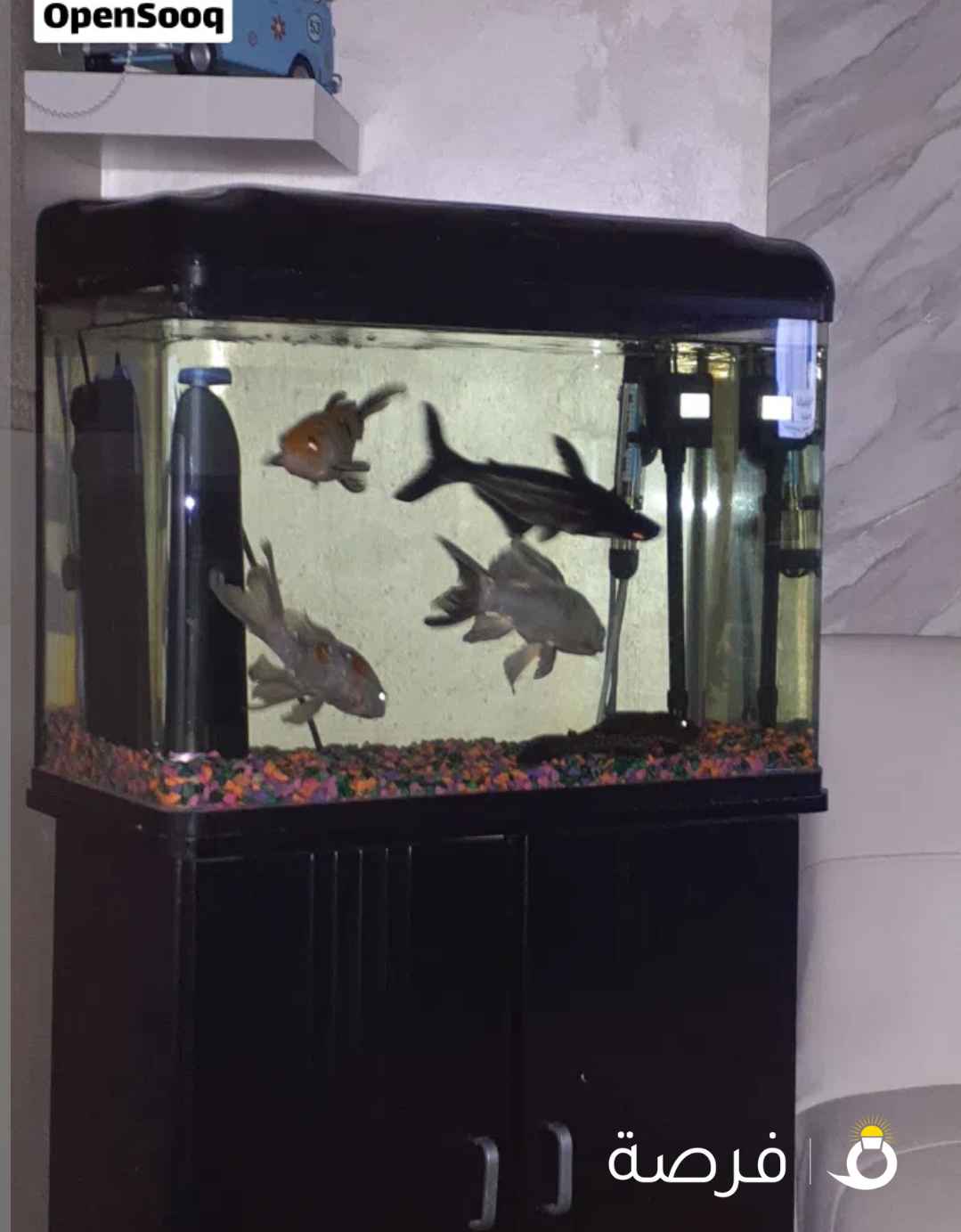 حوض سمك كامل