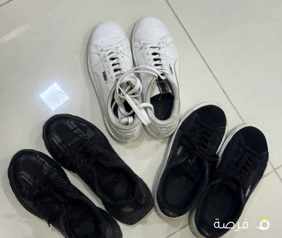 Sneakers 1kd all together