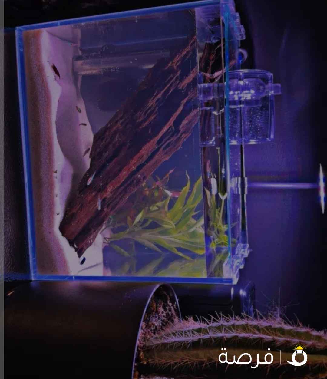 Small aquarium