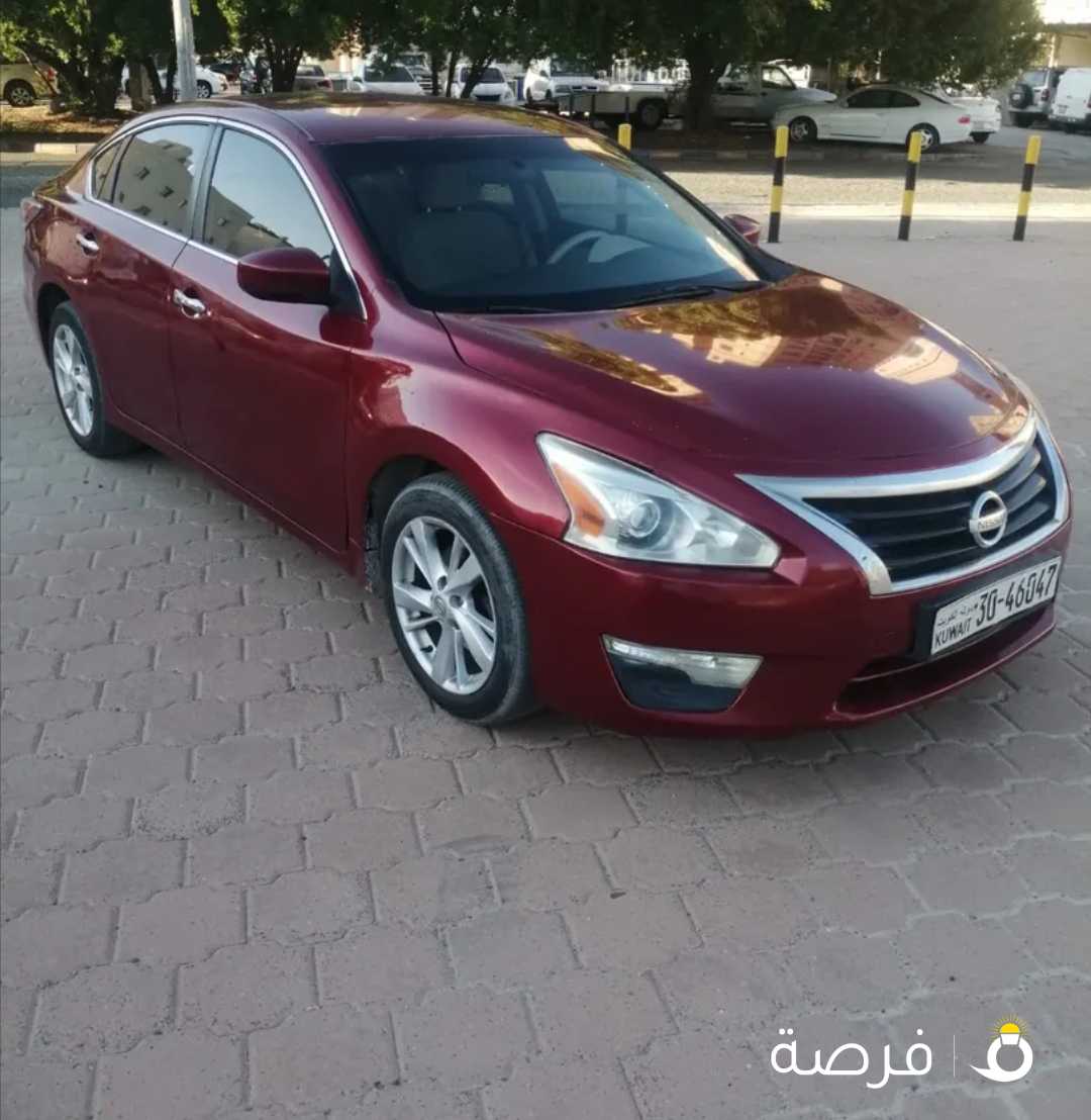 التيما 2015