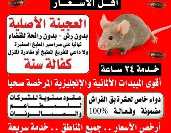 مكافحة حشرات والقوارض