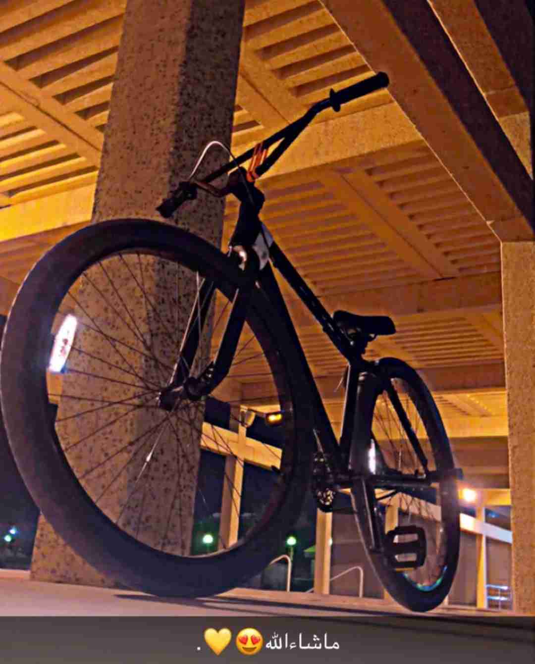 sebike big flyer