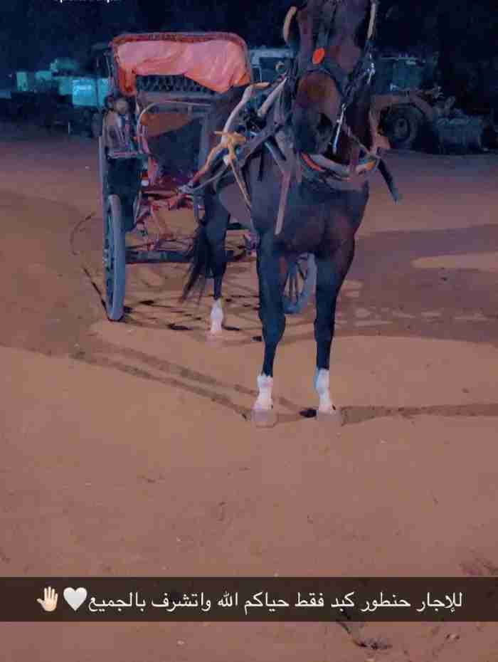 مربط خيل في جبد ق4
