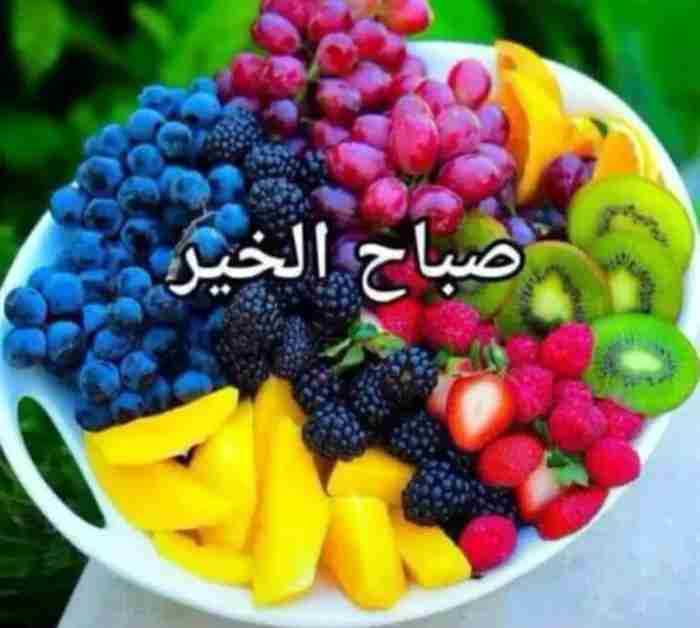 شيف سندوتشات و مشاوي