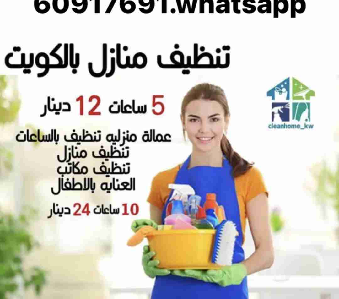 تنظيف شامل