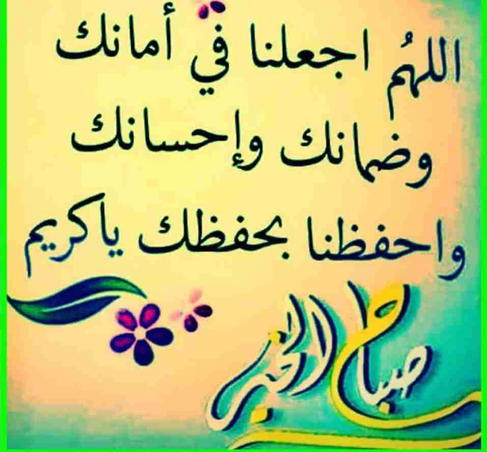 مطلوب سائق لغسيل سجاد