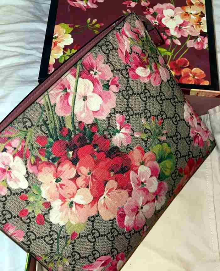 شنطه جوتشي