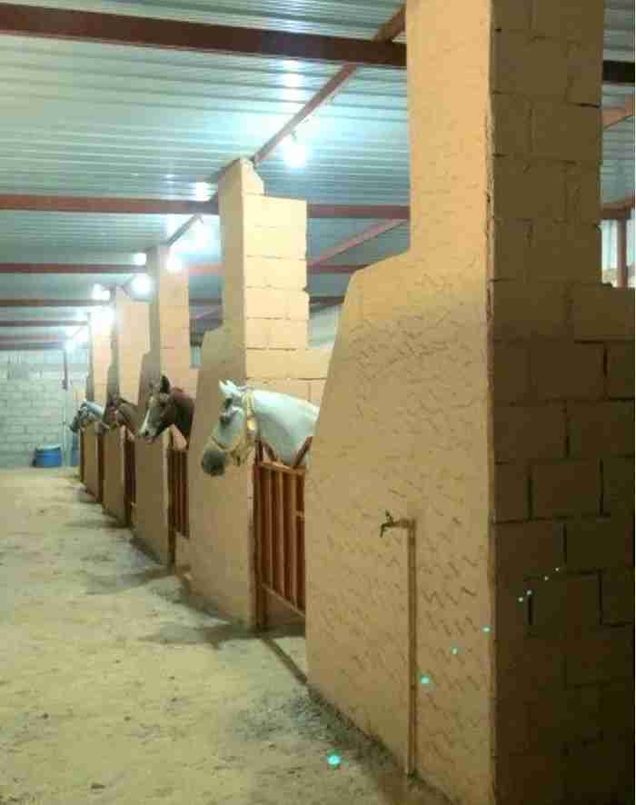 مربط ايواء خيل