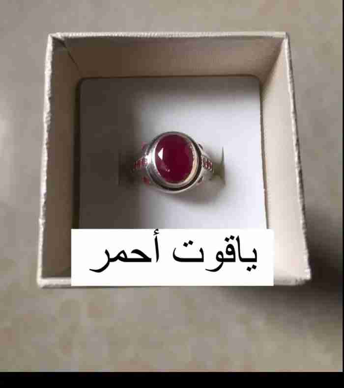 التواصل فقط واتساب