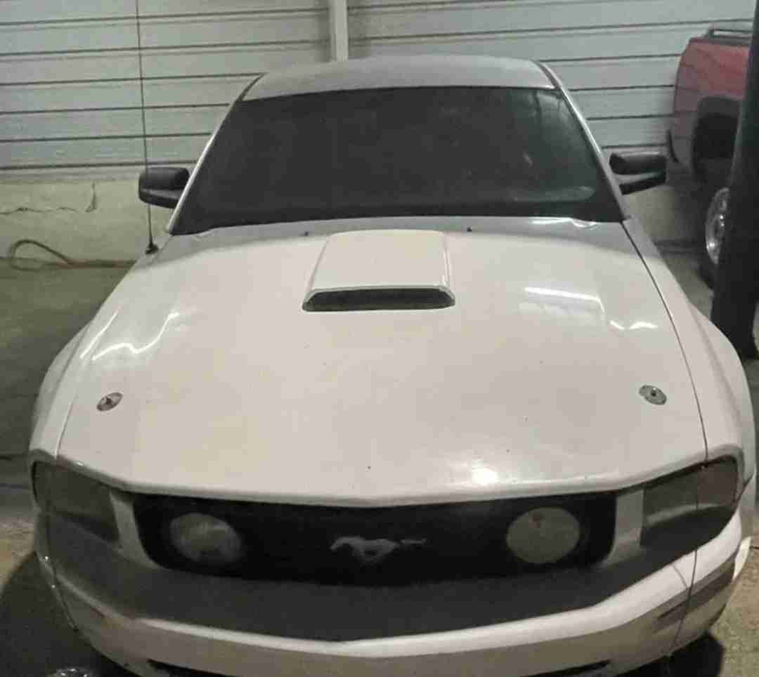 موستنق 2009 GT