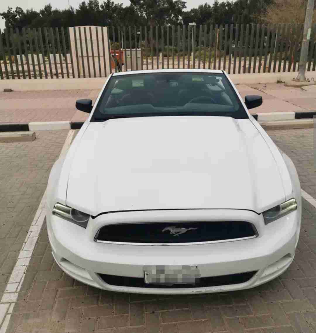 موستنج 2014 كشف