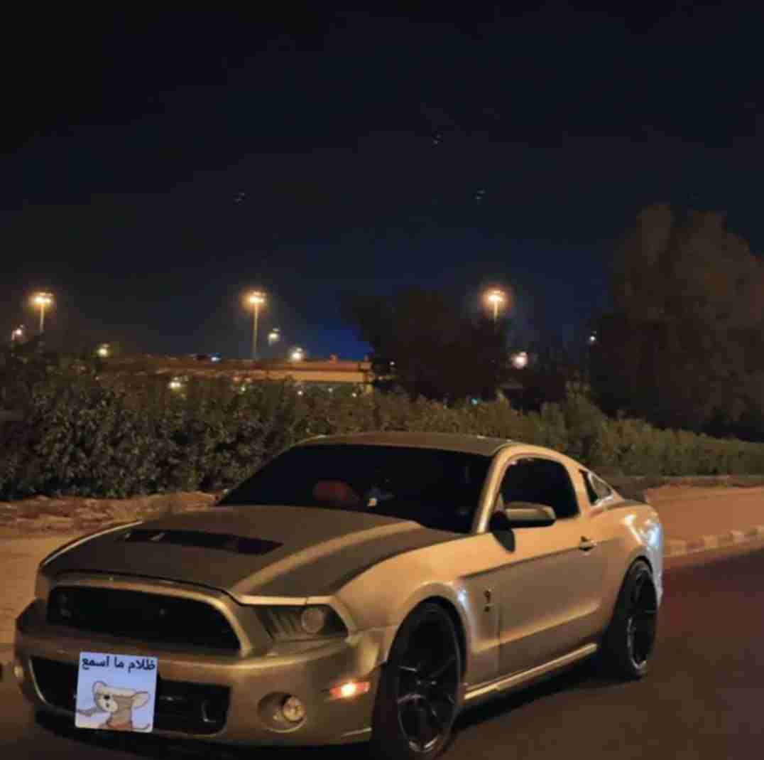 للبيع موستنق محول شلبي