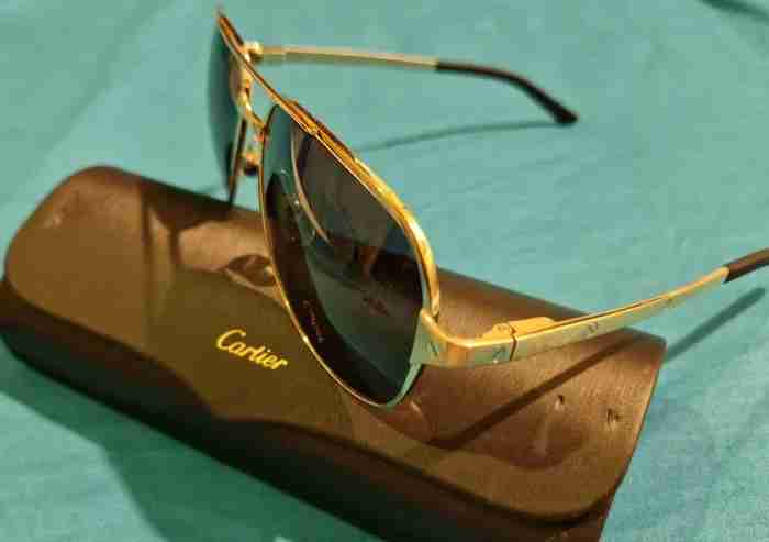 Santos de Cartier CT0165S