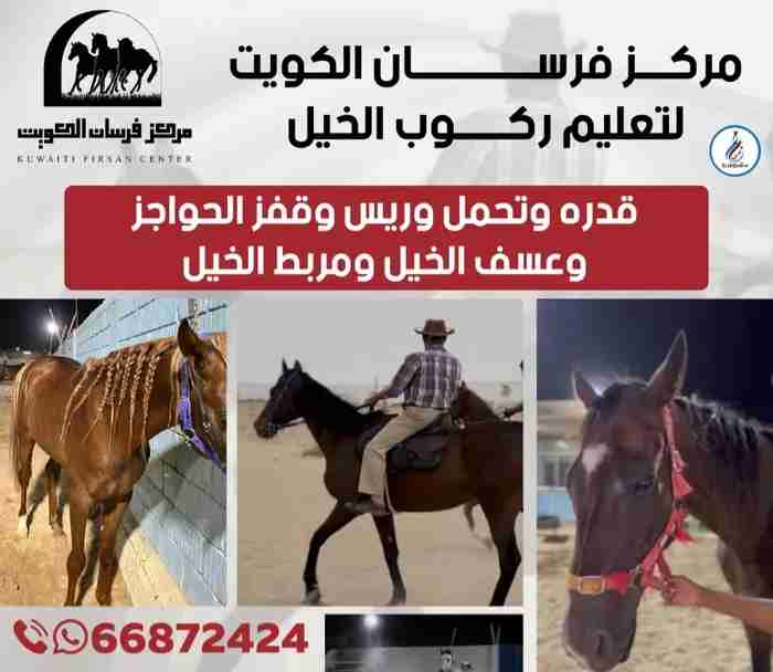 لتعليم ركوب الخيل قدره وتحمل وريس وقفز الحواجز وعسف الخيل ومربط الخيل