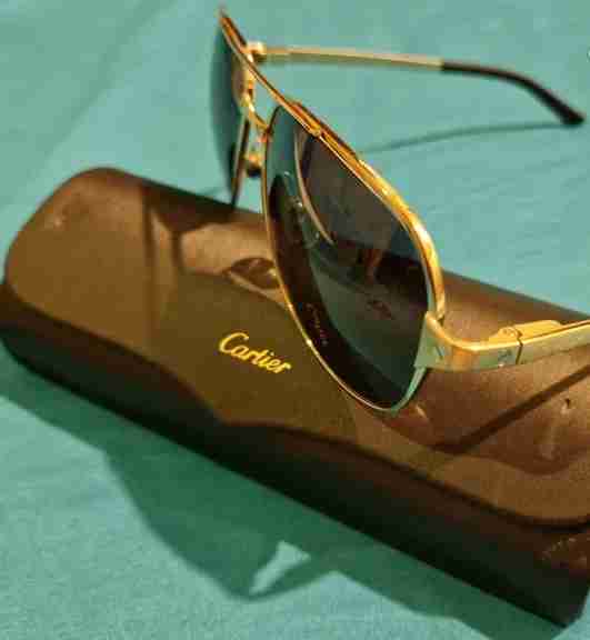 Santos de Cartier CT0165S
