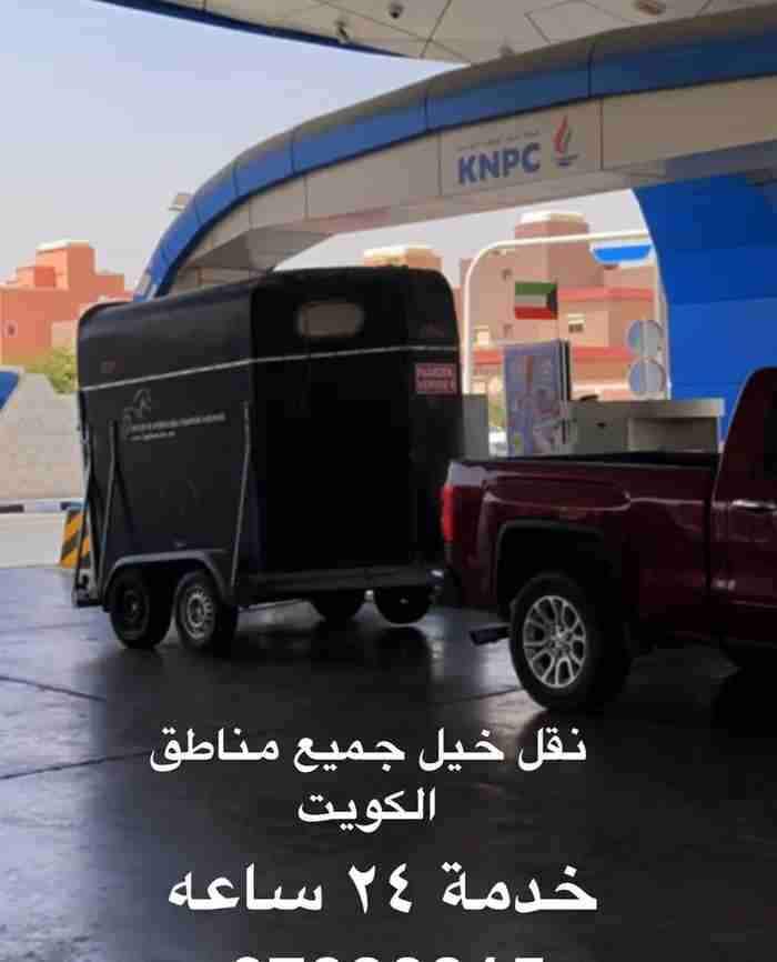 نقل خيل جميع مناطق الكويت