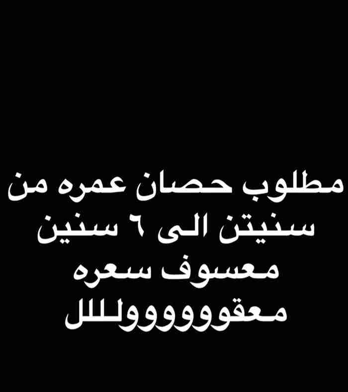 مطلوب خيل
