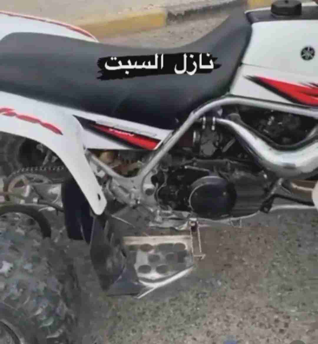 مطلوب بانشي