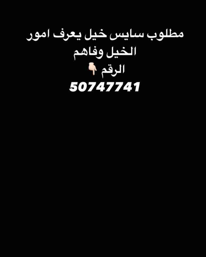 مطلوب سايس خيل فاهم و سرج