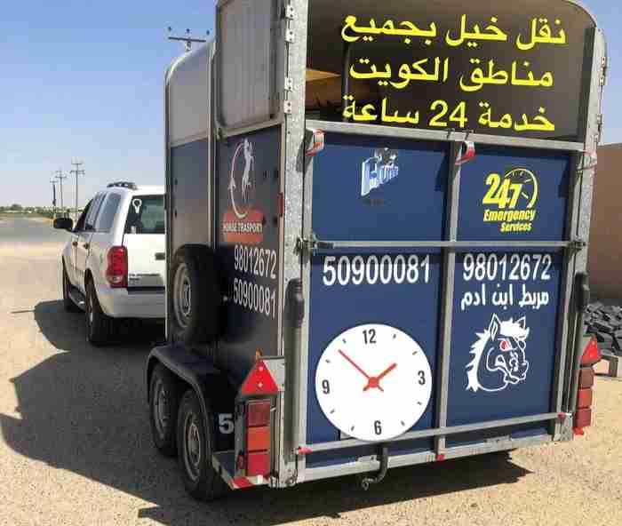نقل خيل بجميع مناطق الكويت خدمة 24 ساعه