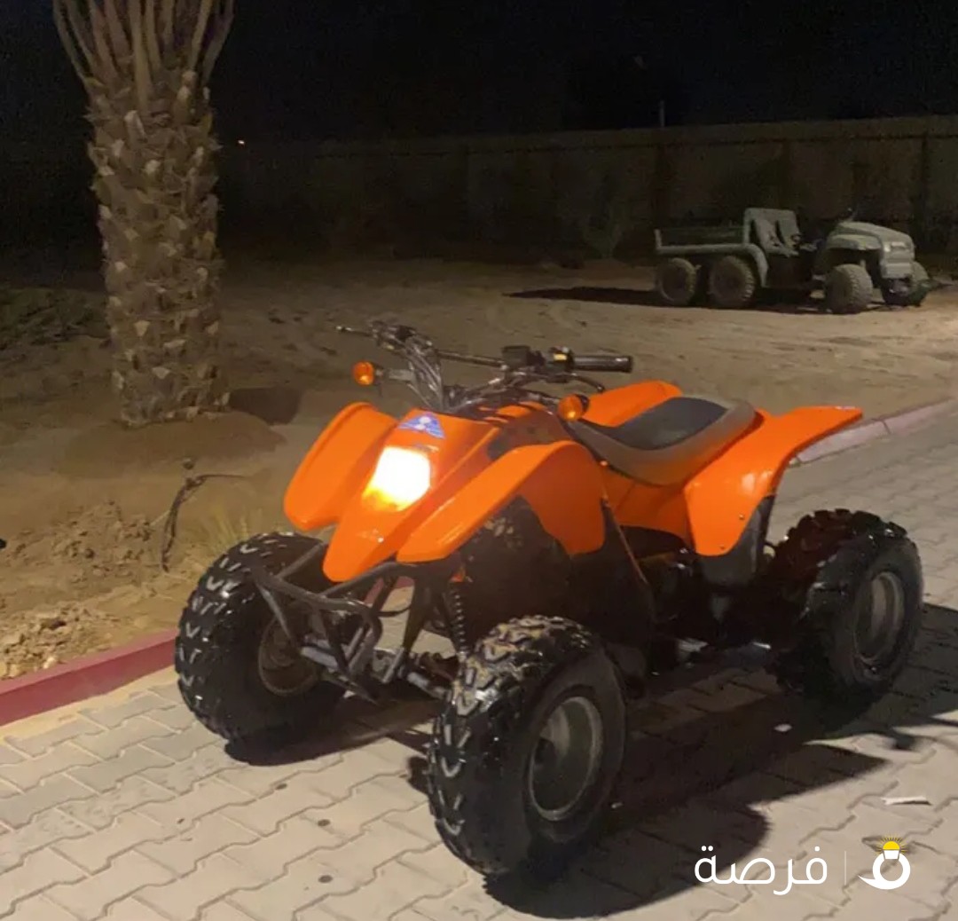 باقي تايواني نادر تايون سكرت شحن عشان الحروب وفا صار نادر مافيه الا20 قطعه فيه الكويت