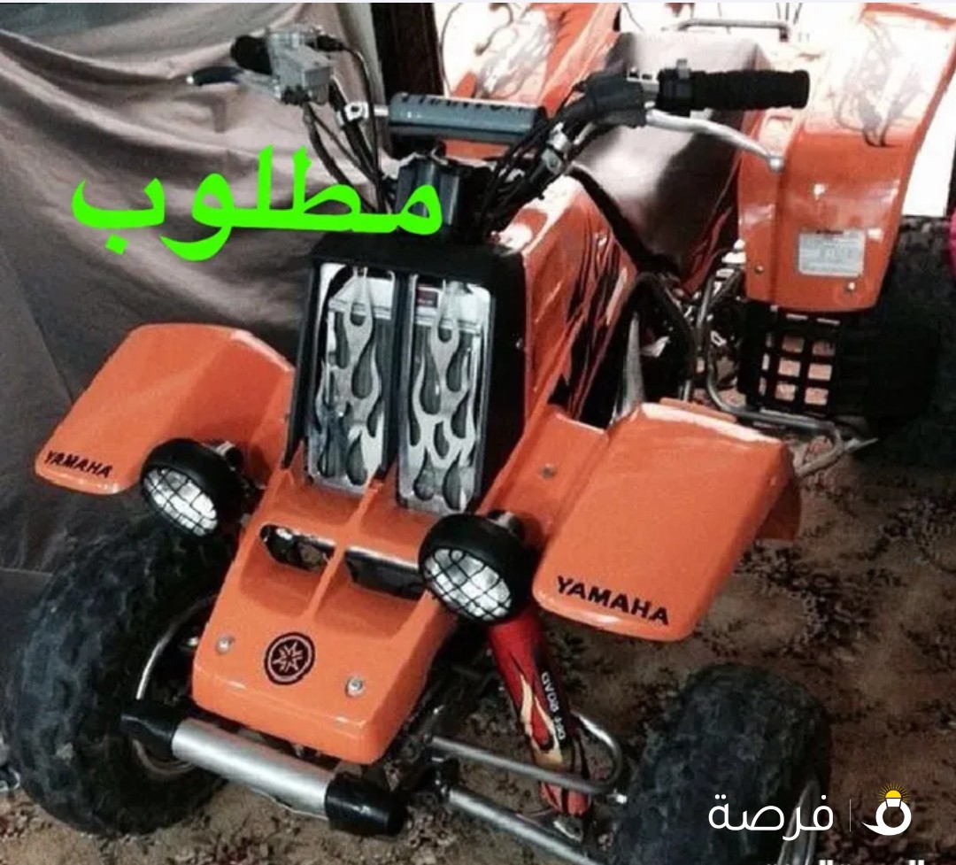 مطلوب بانشي شغل بسعر معقول