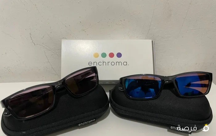 Enchroma glasses