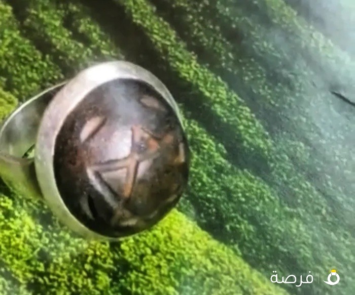 سلطاني هب من نوادر الاحجار النفيسة
