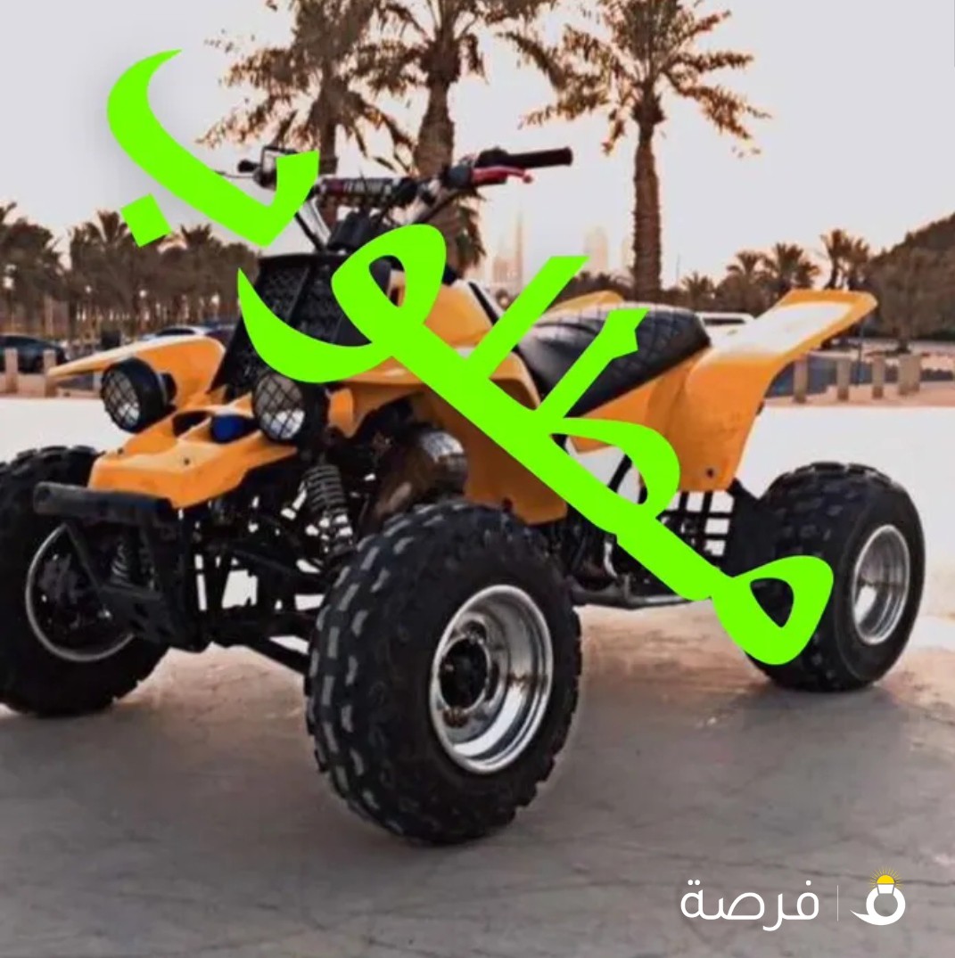 مطلوب بانشي جاهز للموسم